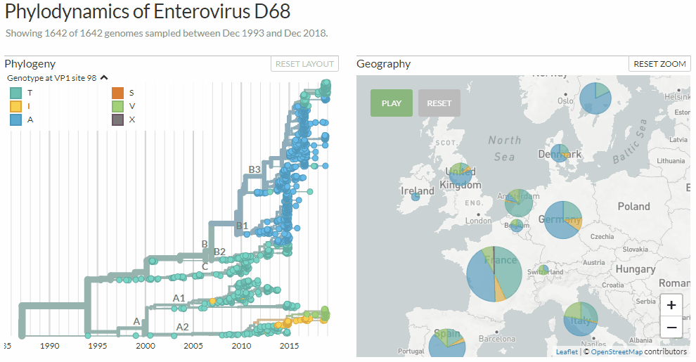 _images/v2-pie-charts.gif