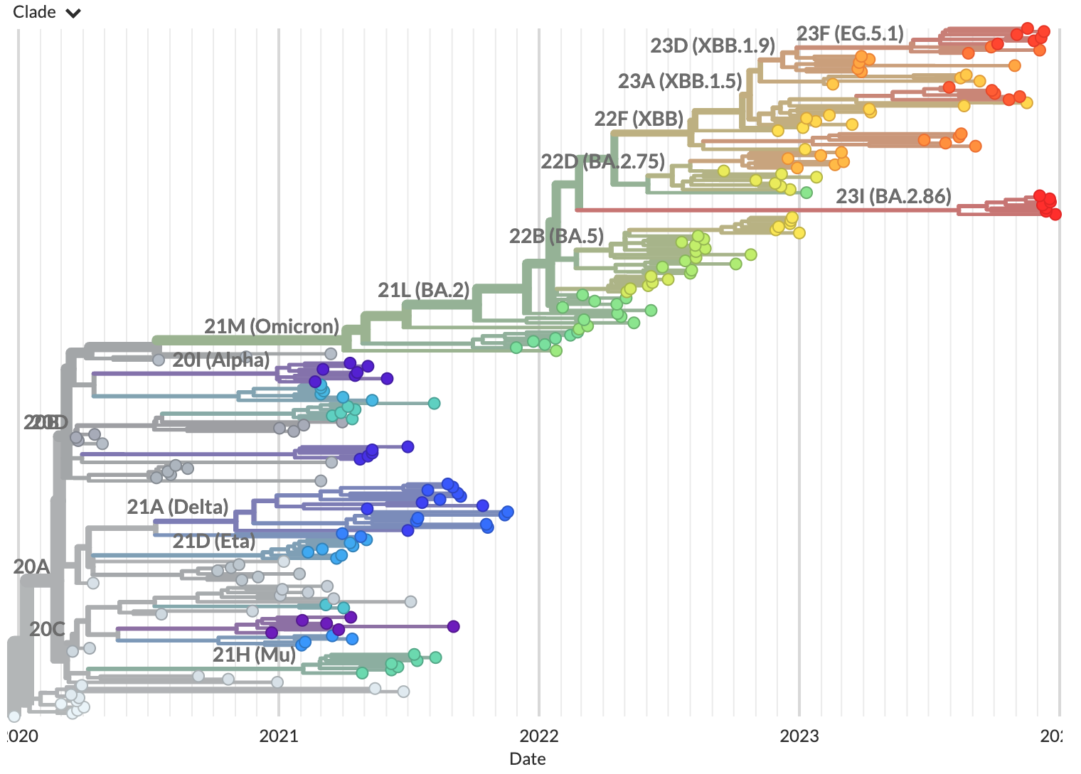 Phylogenetic tree from the "example data" tutorial as visualized in Auspice