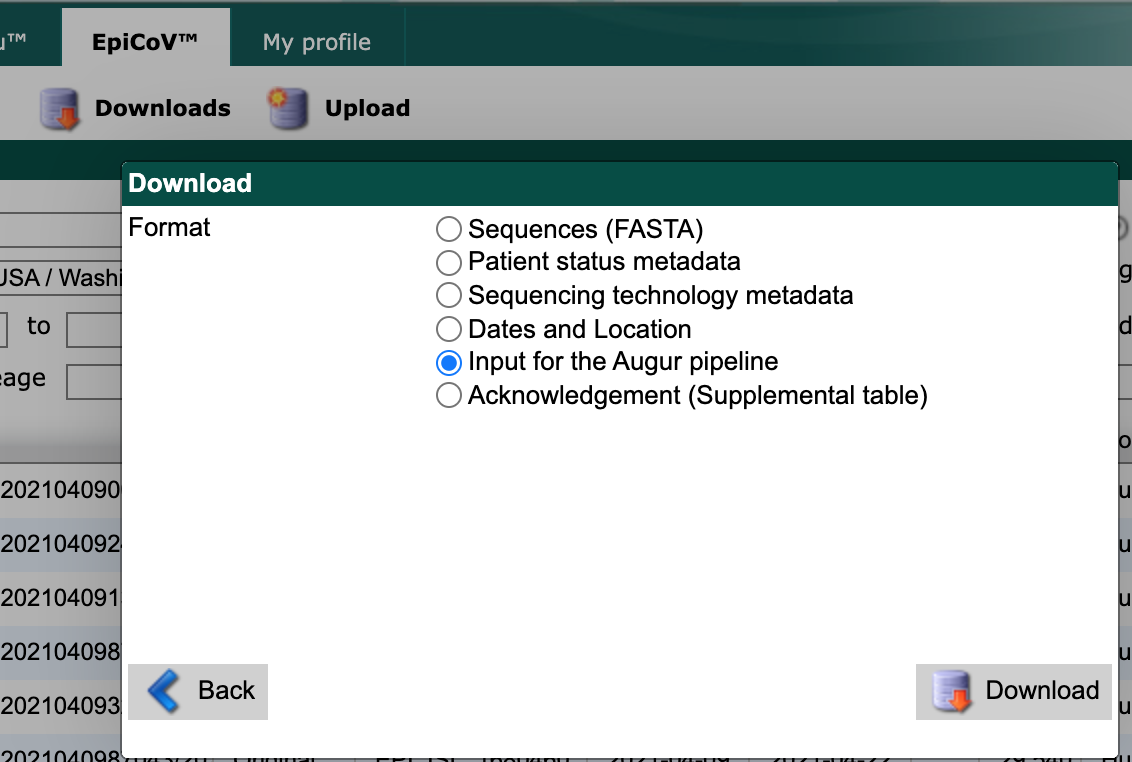 GISAID search download window showing “Input for the Augur pipeline” option