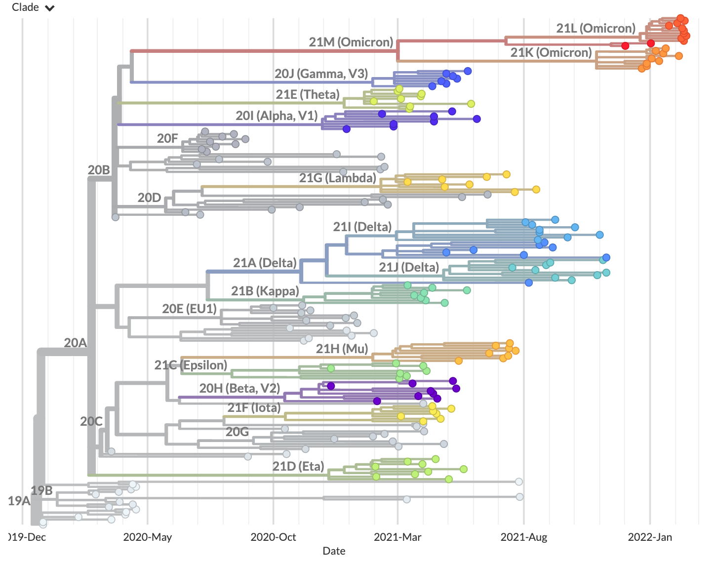 Phylogenetic tree from the "example data" tutorial as visualized in Auspice