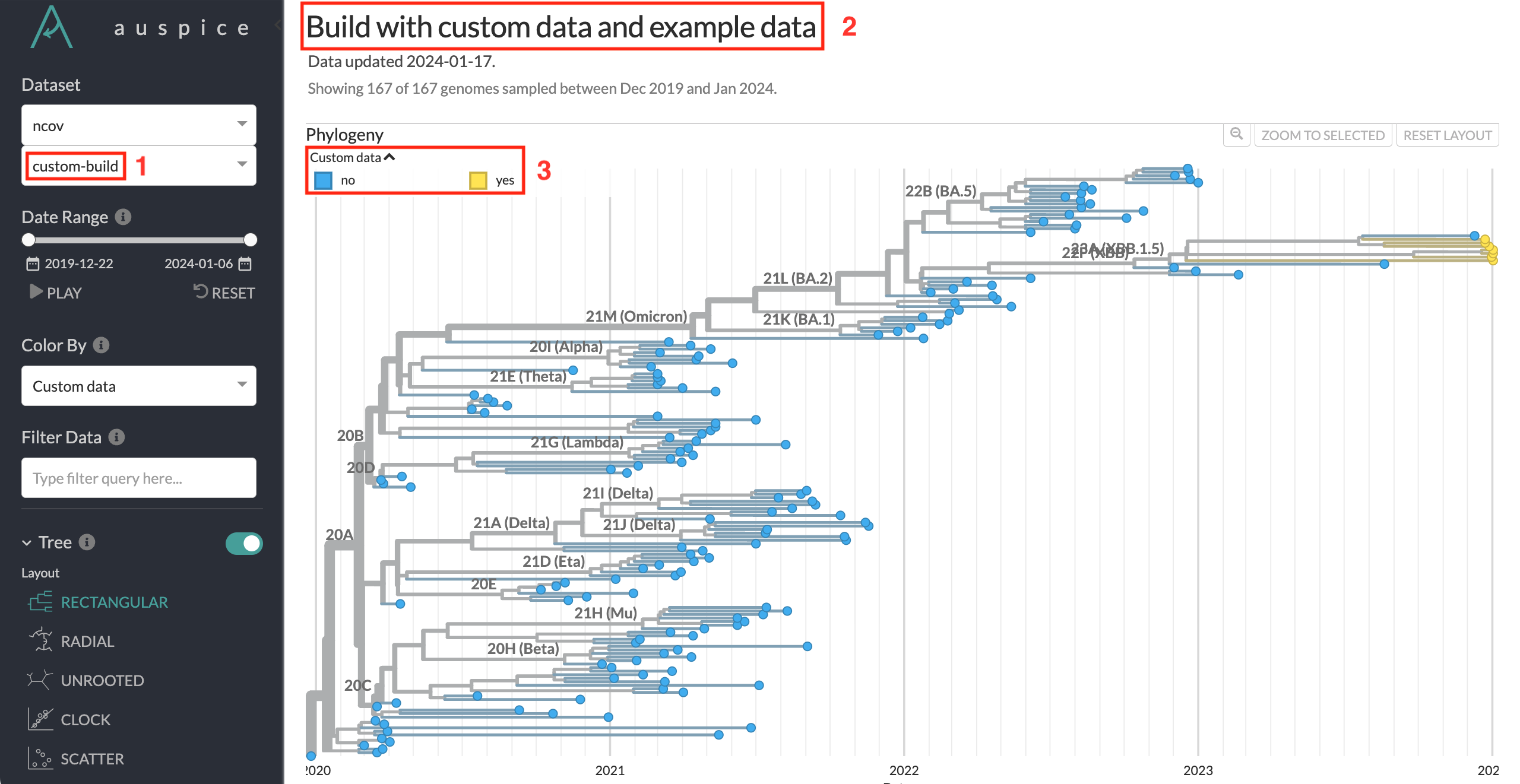 Phylogenetic tree from the "custom data" tutorial as visualized in Auspice