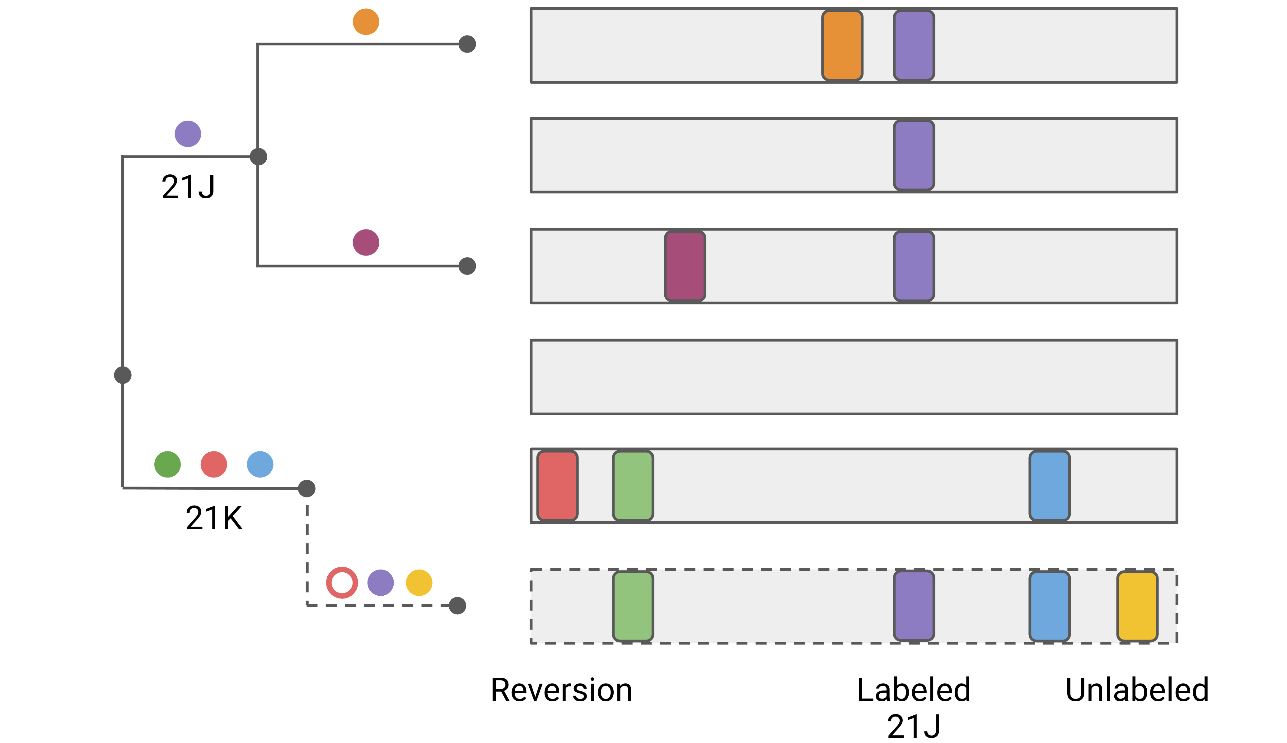 Classification of private mutations