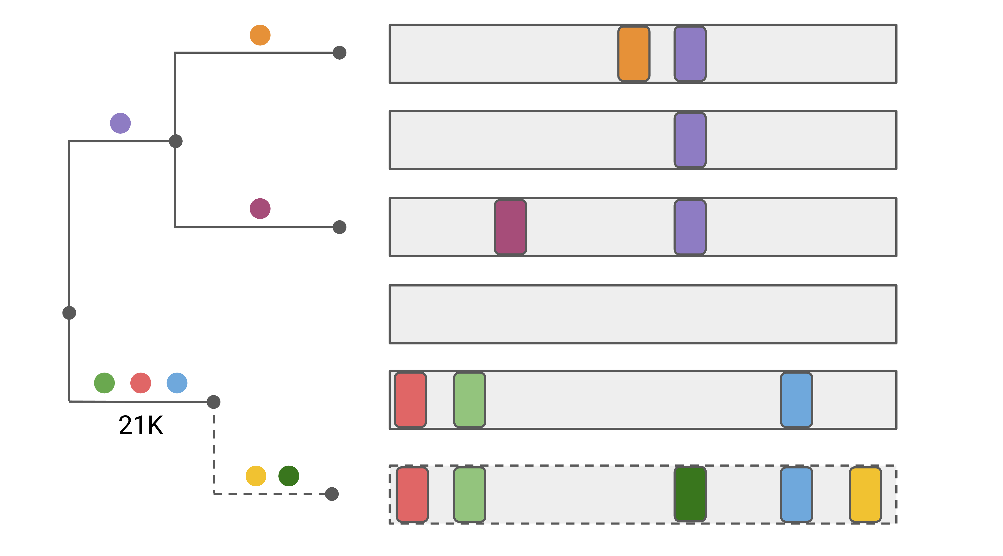 Identification of private mutations